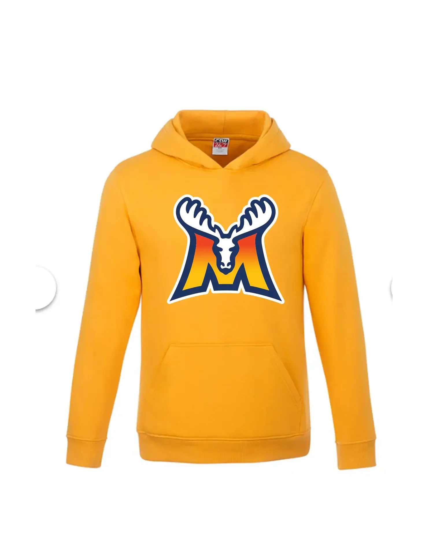 Youth Fleece Hooded Sweatshirt