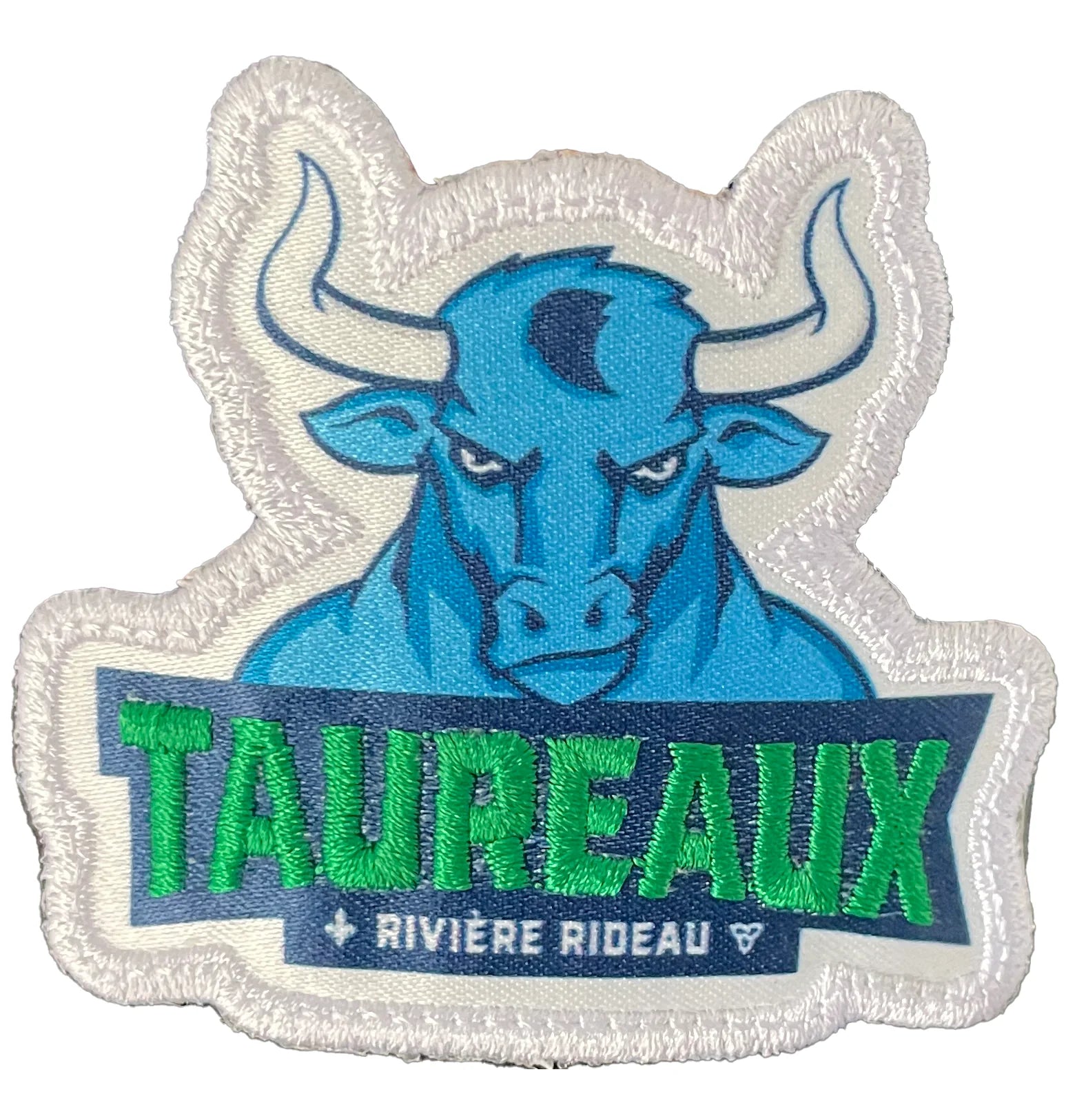 ATC Cotton twill cap - NEW: Print-Stitch Patch Option<sup>*</sup> 🌟 - Ladybug Designs