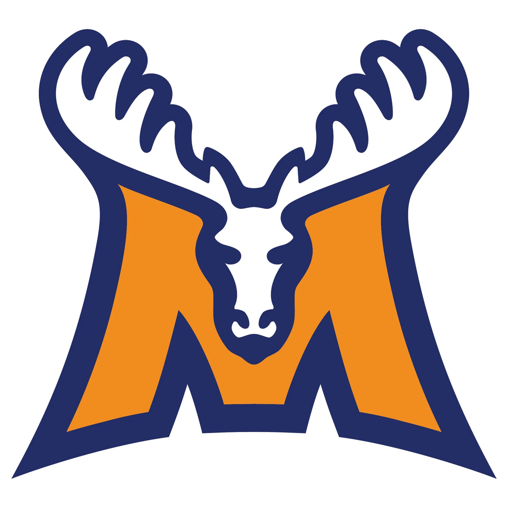 "Jibbitz" 3D Croc Charm