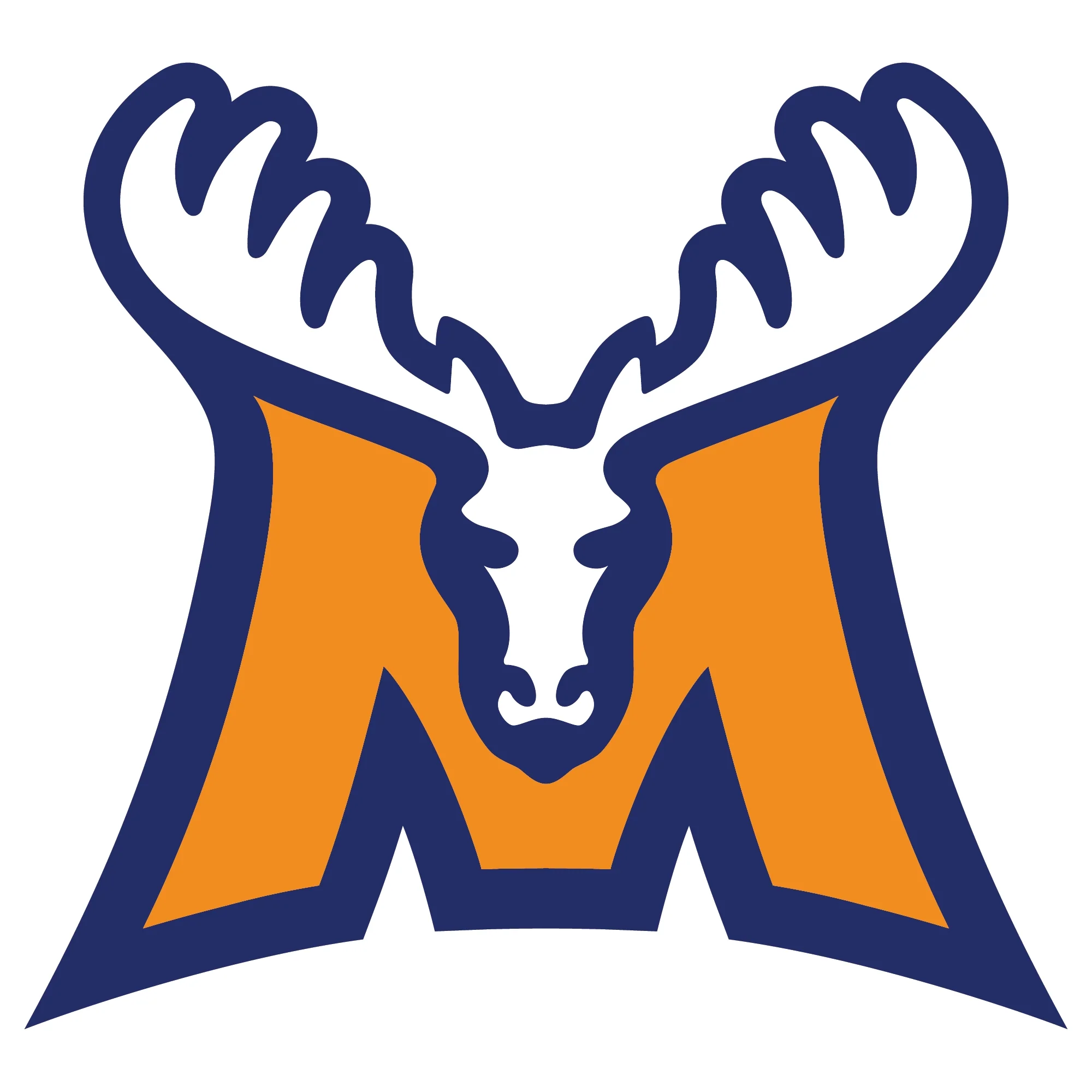 "Jibbitz" 3D Croc Charm